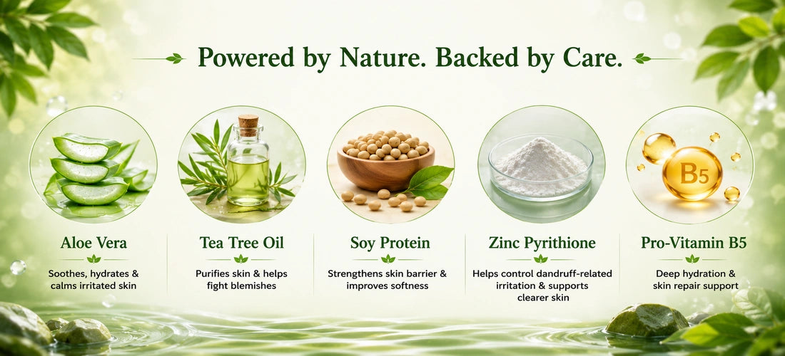 Aloe Vera Anti Dandruff Shampoo with Aloe Vera, Tea Tree, Soy Protein, Zinc Pyrithione and Pro-Vitamin B5