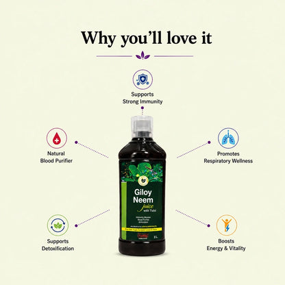 Benefits of Giloy Neem Juice with Tulsi for immunity and overall wellness