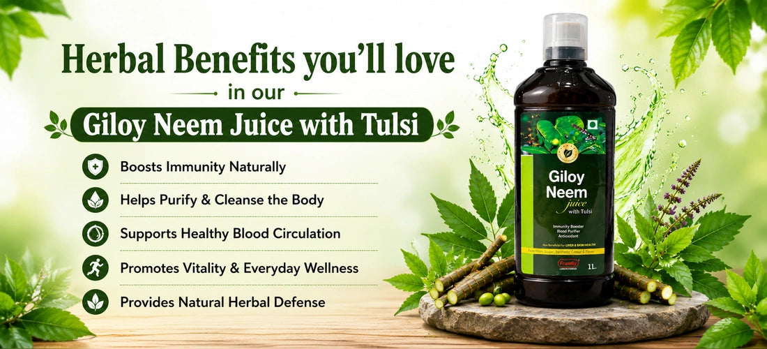 Herbal benefits of Giloy Neem Juice with Tulsi for immunity and vitality
