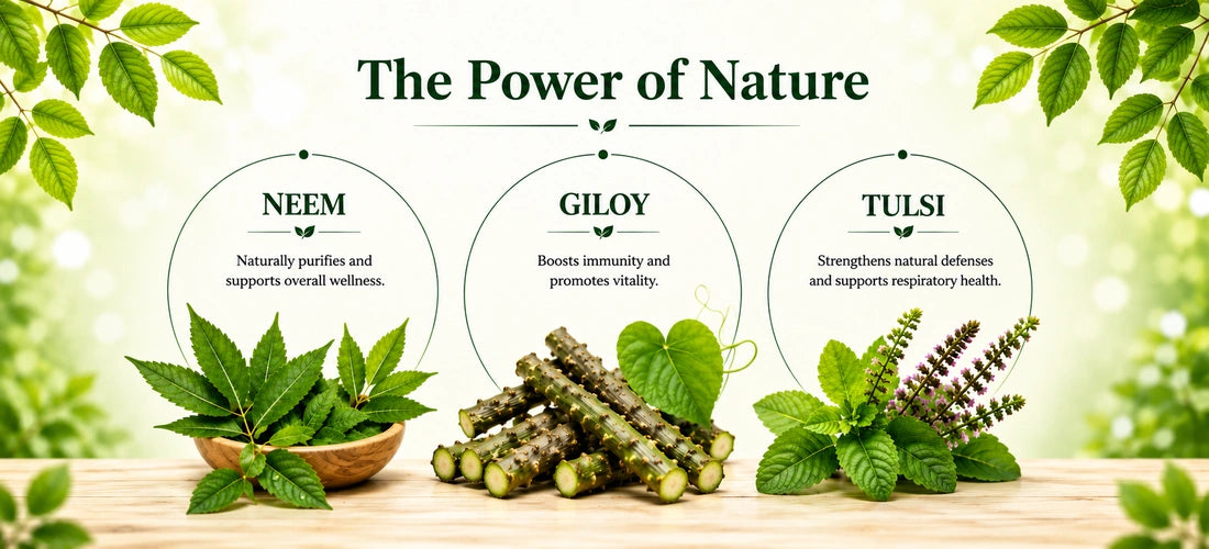 Giloy Neem Juice with Tulsi featuring Giloy, Neem and Tulsi ingredients