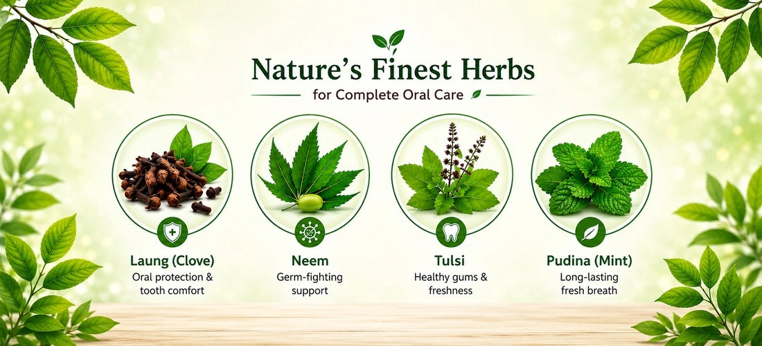 Laung Herbal Toothpaste with Clove, Neem, Tulsi and Mint herbal ingredients