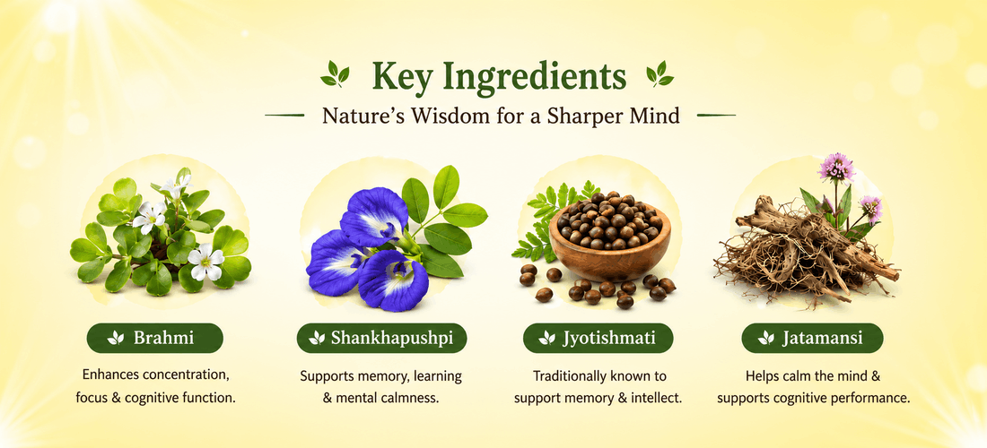 Memoliv Syrup with Brahmi, Shankhapushpi, Vacha, Jyotishmati, Mulethi and Jatamansi
