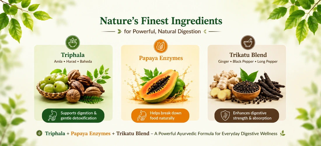 Zymo Syrup with Triphala, Papaya Enzymes, Trikatu, Anise and Bay Leaf